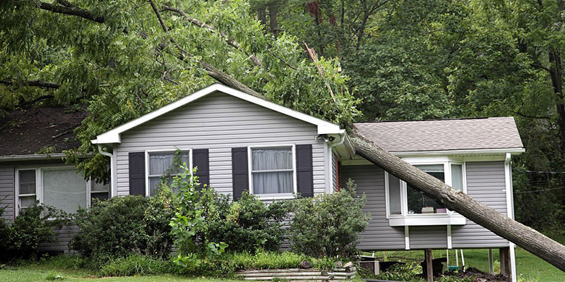 reputable storm damage repair services Chicagoland